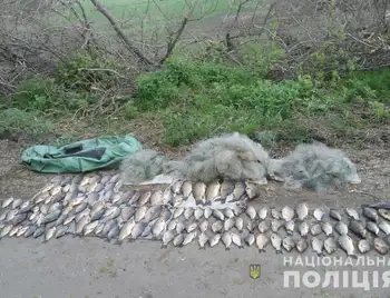 На Кіровоградщині викрили двох рибалок з незаконним уловом на понад 300 тисяч гривень фото 1