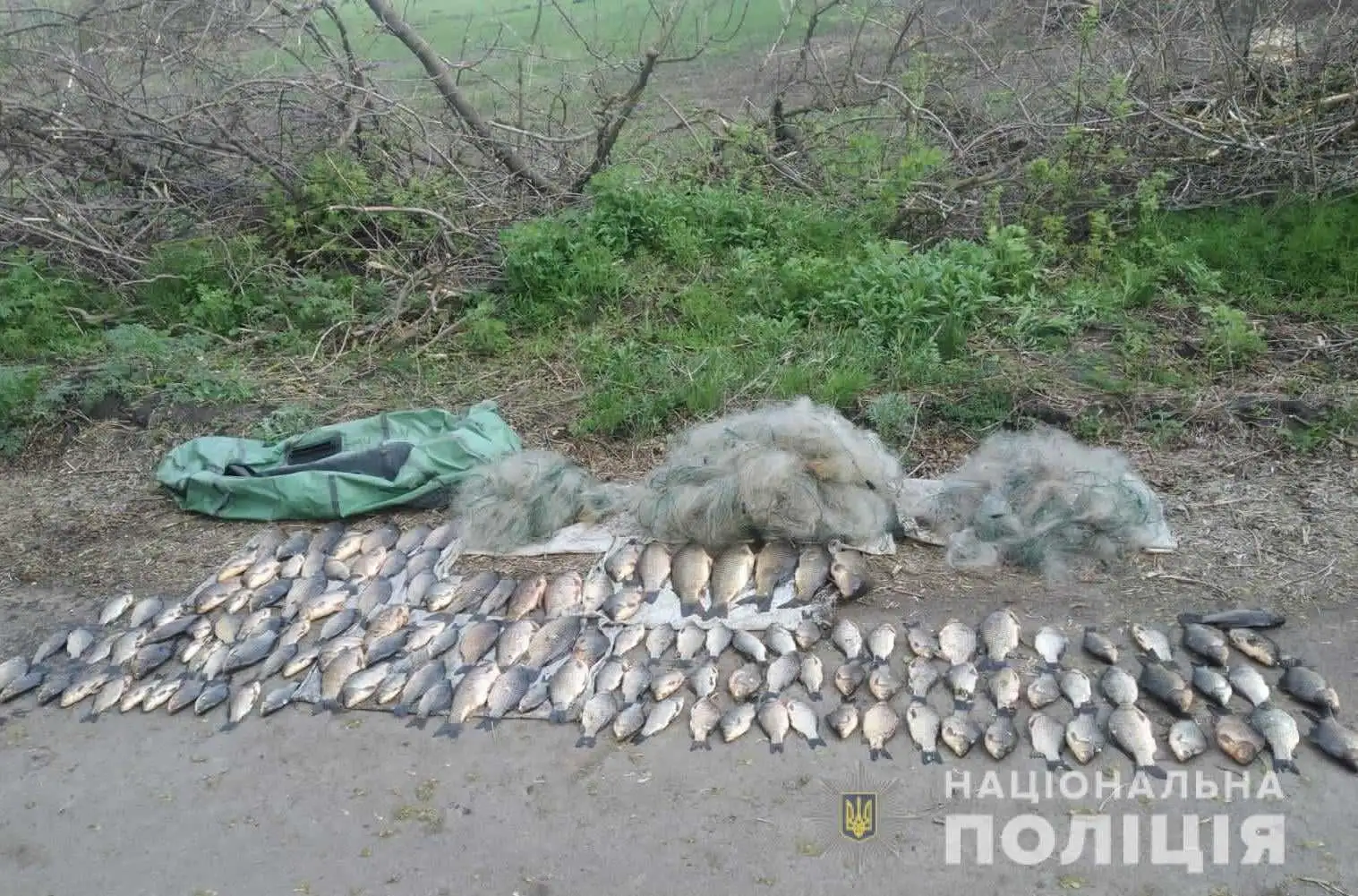 На Кіровоградщині викрили двох рибалок з незаконним уловом на понад 300 тисяч гривень фото 1