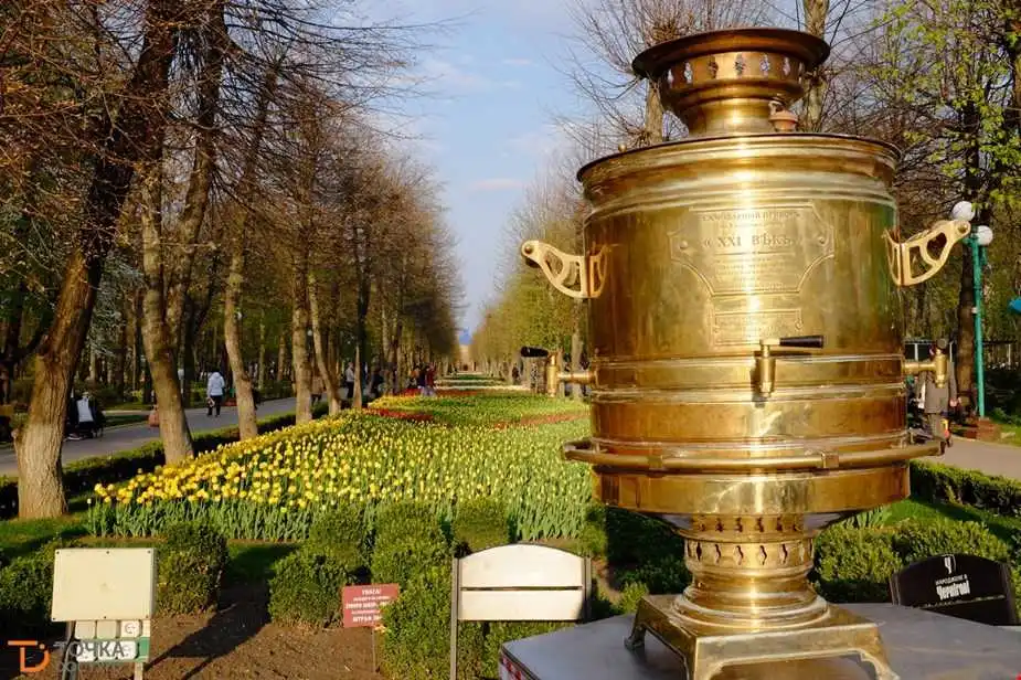 Розваги на вихідні в Кропивницькому, 11–12 травня (ПРОГРАМА)