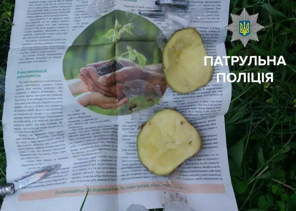 У Кропивницькому чоловік намагався передати до в'язниці картоплю з "сюрпризом" (ФОТО)