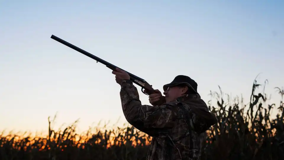 Сезон полювання на Кіровоградщині не розпочнеться