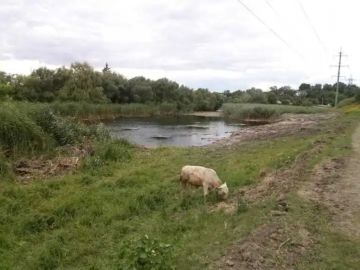 В Новомиргороді почали облаштовувати зону відпочинку (ФОТО) фото 1
