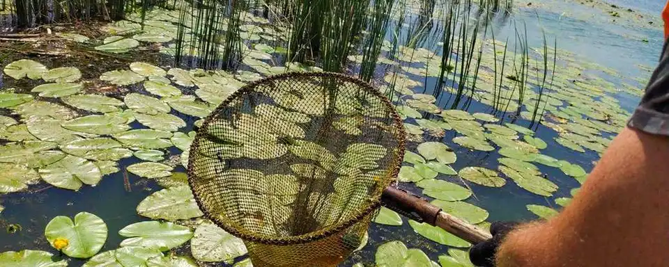 Кіровоградщина: на річці Синюха зібрали 12 мішків сміття (ВІДЕО)