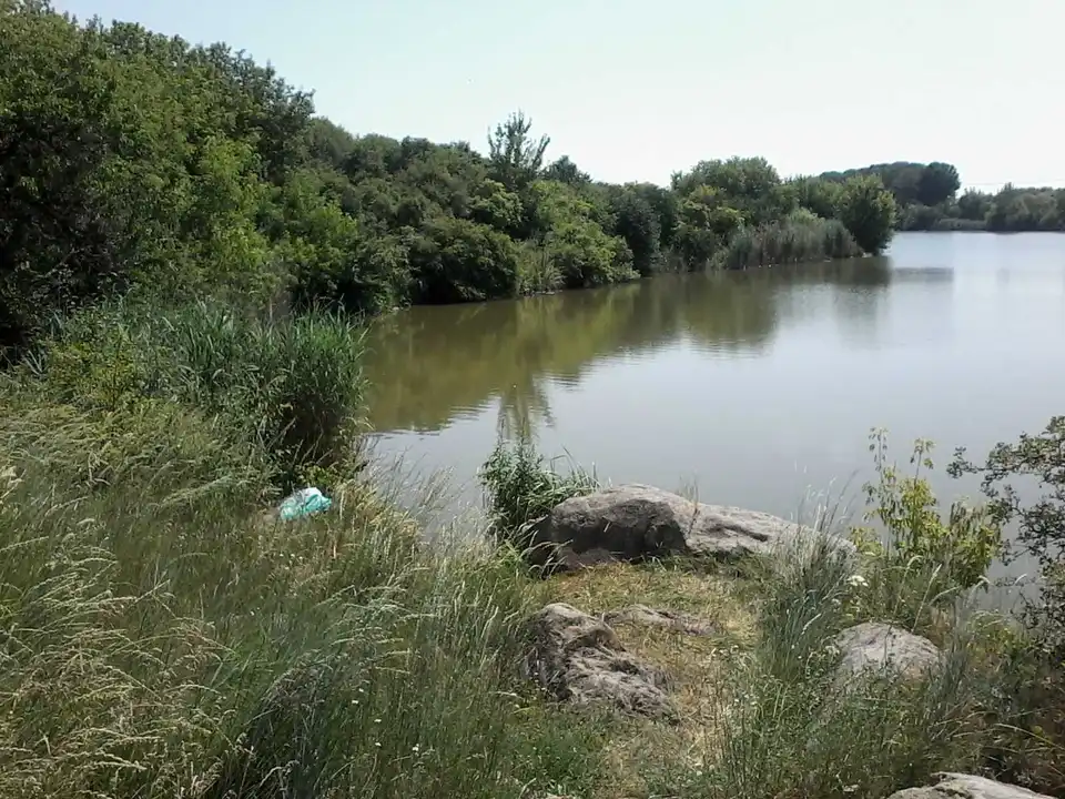 Зі ставку на Кіровоградщині витягли тіло потопельника, обставини з’ясовуються (ФОТО)