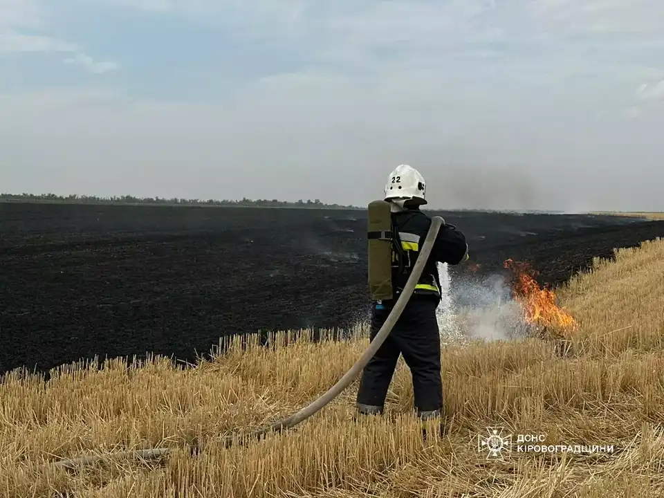пожежа сухої трави у Кіровоградській області
