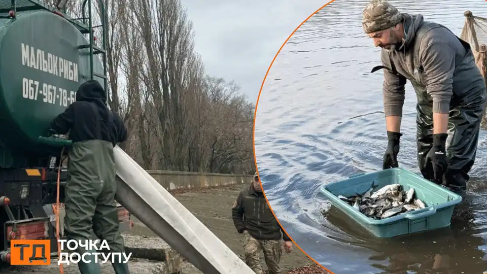 зариблення