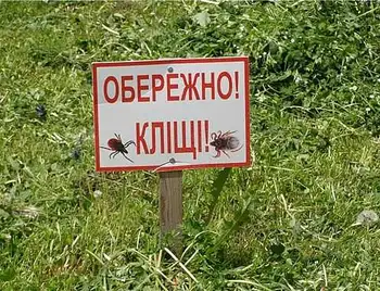У парках Кропивницького виявили кліщів зі збудником хвороби Лайма фото 1