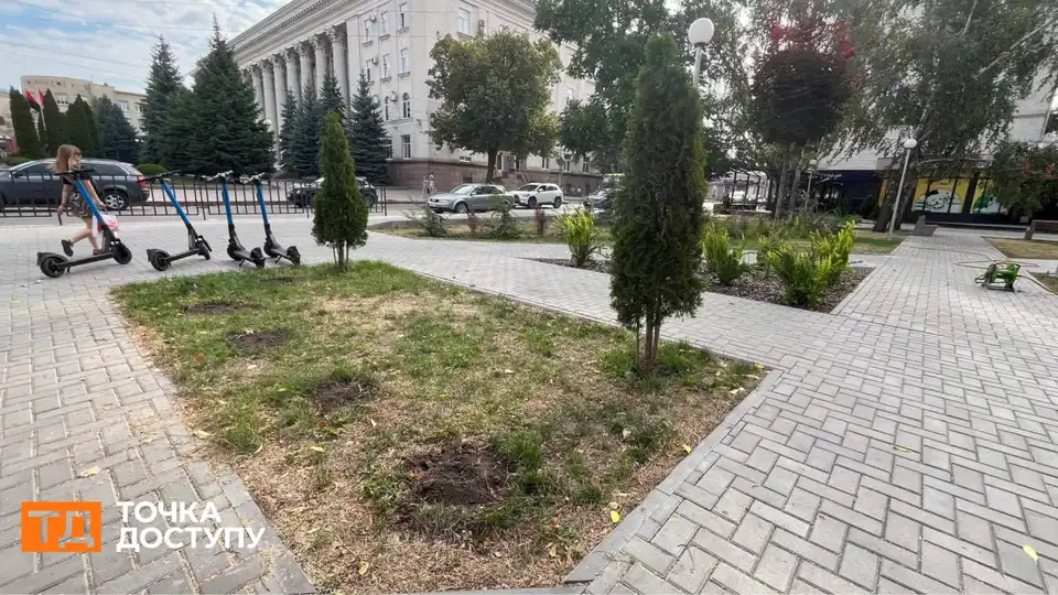 У Центральному сквері викопали шість засохлих туй: в “Благоустрої” розповіли причину їх всихання