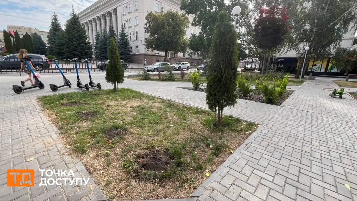 У Центральному сквері викопали шість засохлих туй: в “Благоустрої” розповіли причину їх всихання