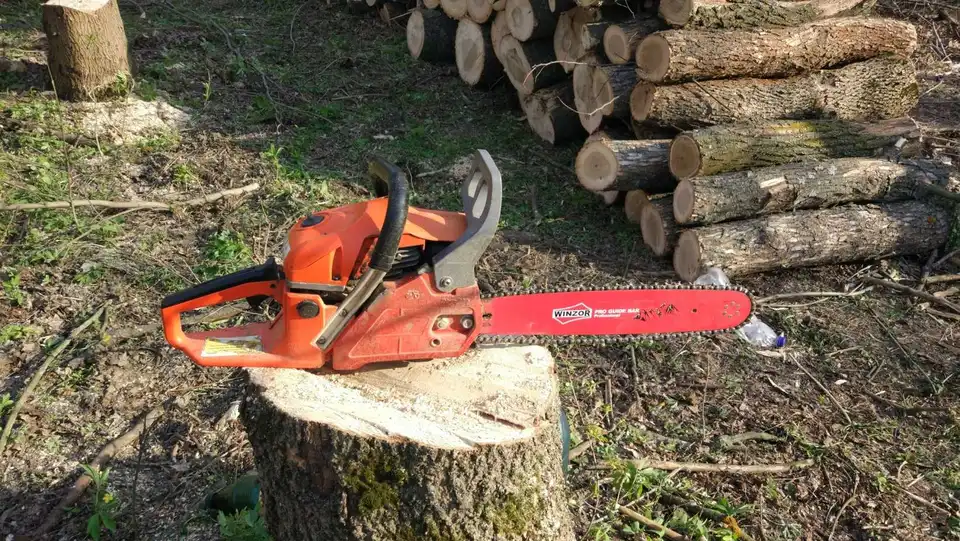 На Кіровоградщині чоловік незаконно вирубав дерев на понад 68 тис. грн (ФОТО)