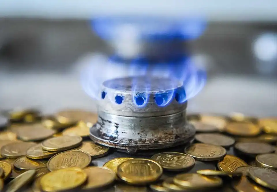 У "Кіровоградгазі" пояснили, як розрахувати плату за розподіл газу та куди йдуть ці кошти