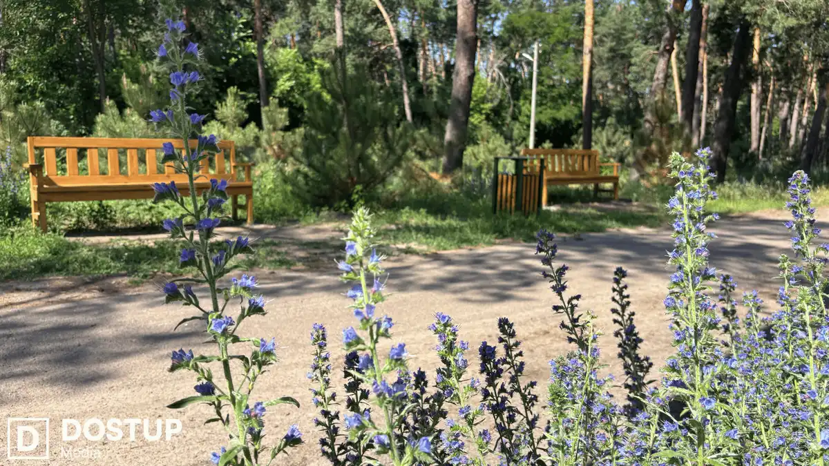 Нові лавки на Лісопарковій у Кропивницькому