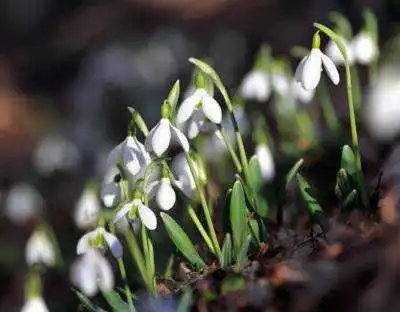 Погода на Кіровоградщині: 17 квітня (КАРТА)