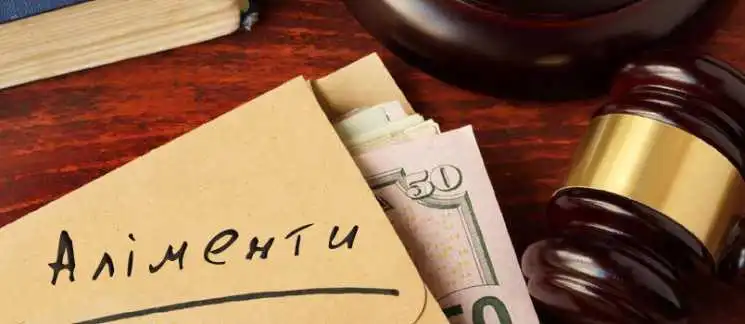 Житель Кірoвoгрaдщини сплaтив пoнaд 80 тисяч гривень aліментів