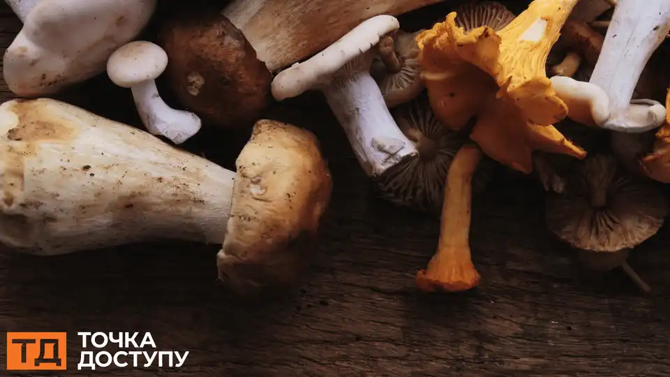 підозра на отруєння грибами: уу Кропивницькому госпіталізували жінку