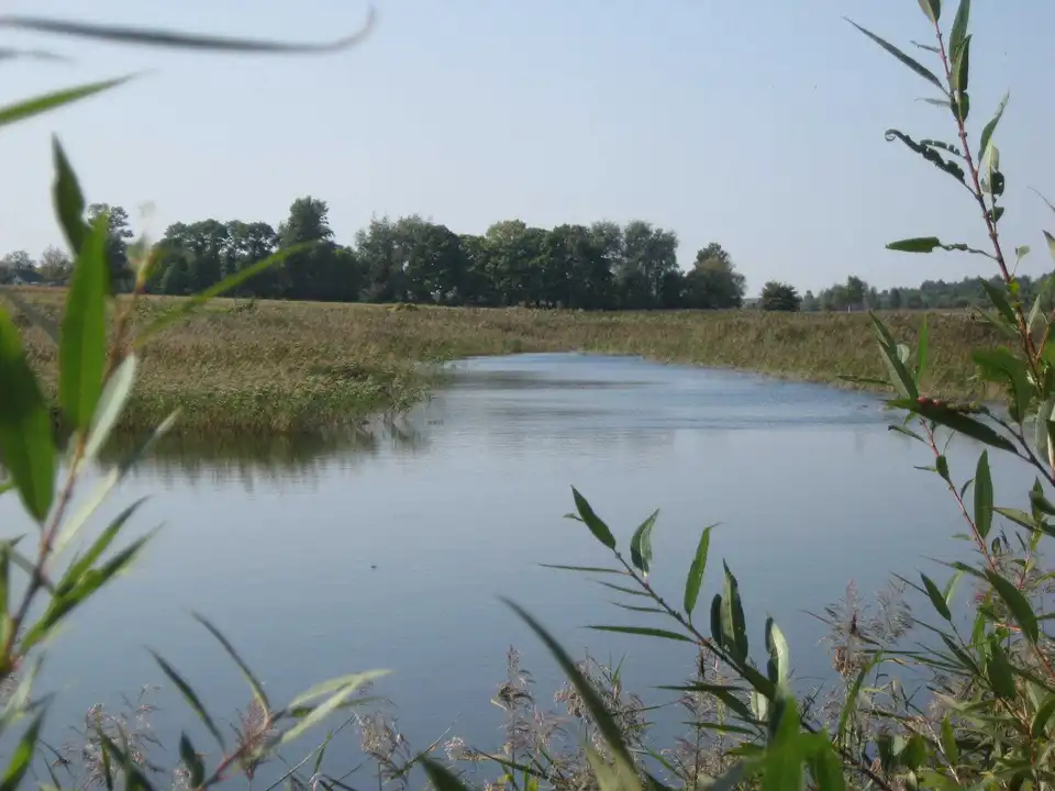 З водойми на Кіровоградщині витягли тіло чоловіка