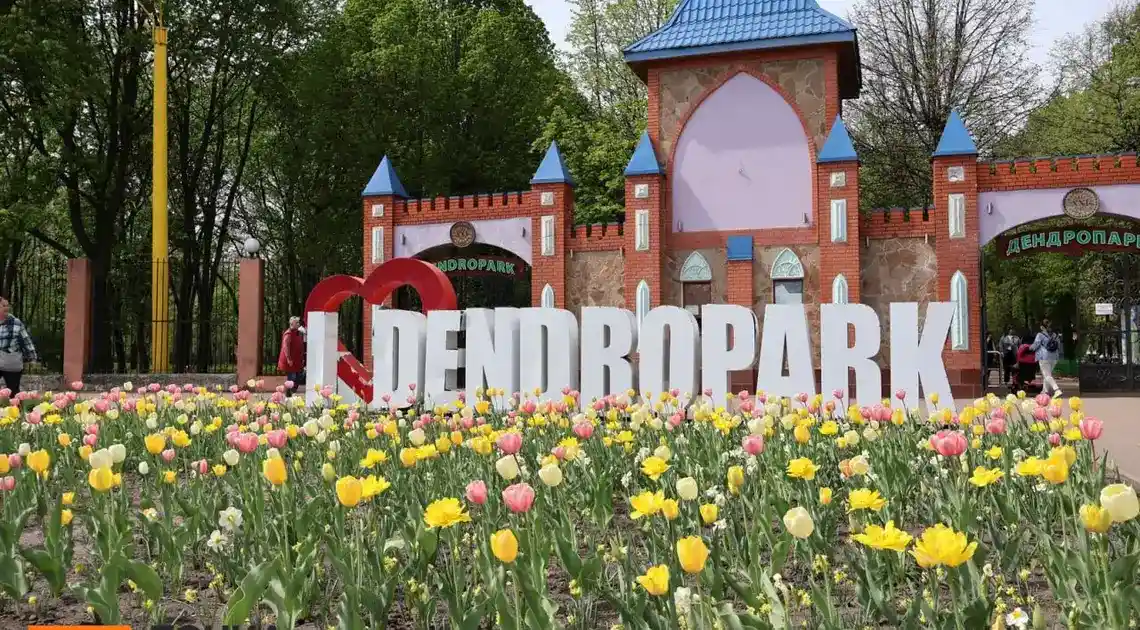 відкриють спортивний майданчик у Дендропарку в Кропивницькому