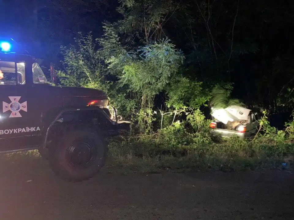 На Кіровоградщині легковий автомобіль з'їхав у кювет (ФОТО)