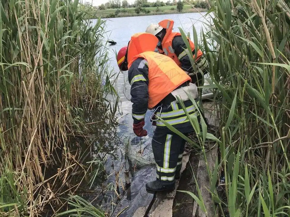 На Кіровоградщині у ставку виявили тіло загиблого чоловіка