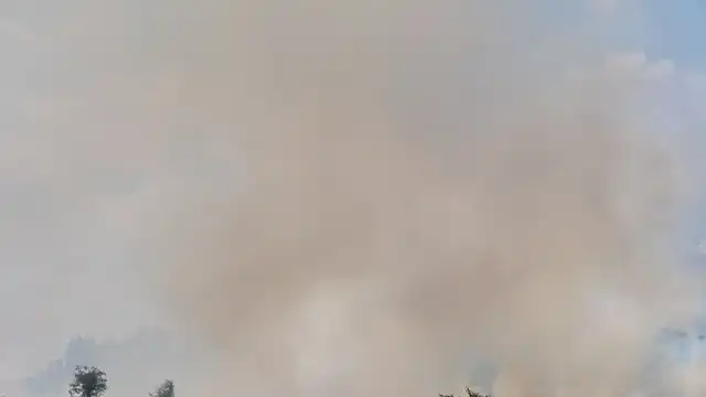 Кропивницький накрило димом через пожежу: жителям радять зачинити вікна