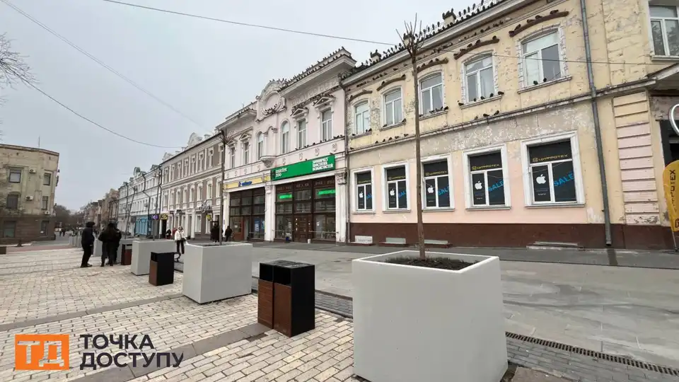 Одинадцять катальп висадили на Театральній у Кропивницькому