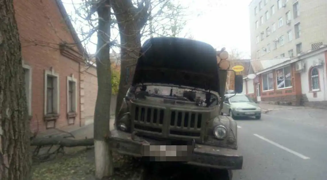 У Кропивницькому загальмувала об дерево вантажівка... з деревом (ФОТО) фото 1