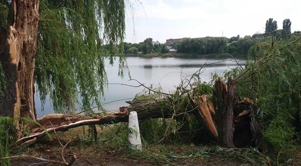 Повалені дерева та зірвані дахи: на Кіровоградщині пронісся буревій (ФОТО) фото 1