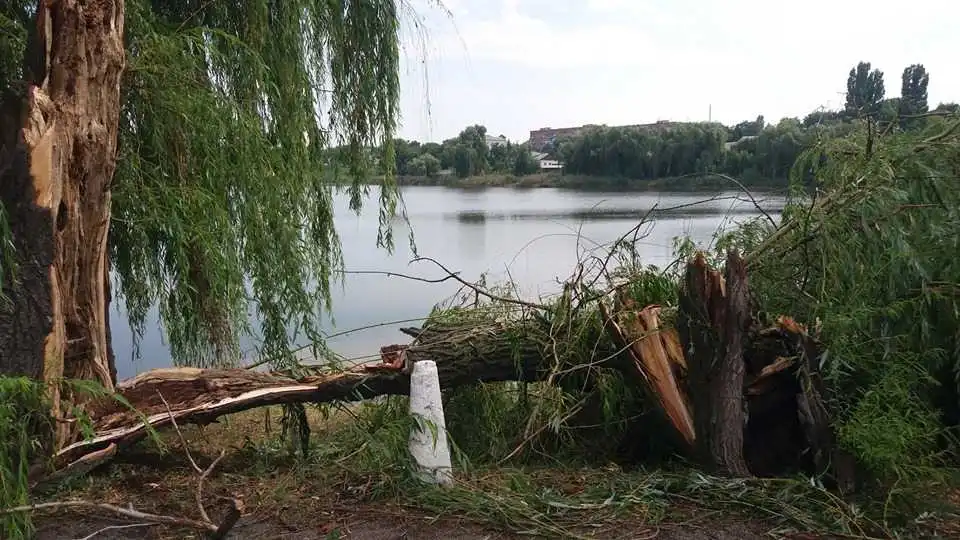 Повалені дерева та зірвані дахи: на Кіровоградщині пронісся буревій (ФОТО)