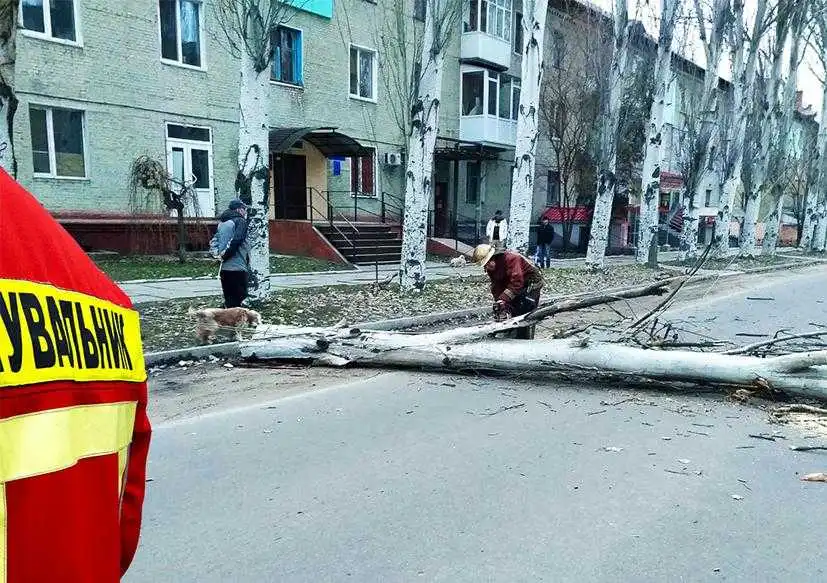 Повалені дерева та балконні рами: наслідки негоди на Кіровоградщині (ФОТО)