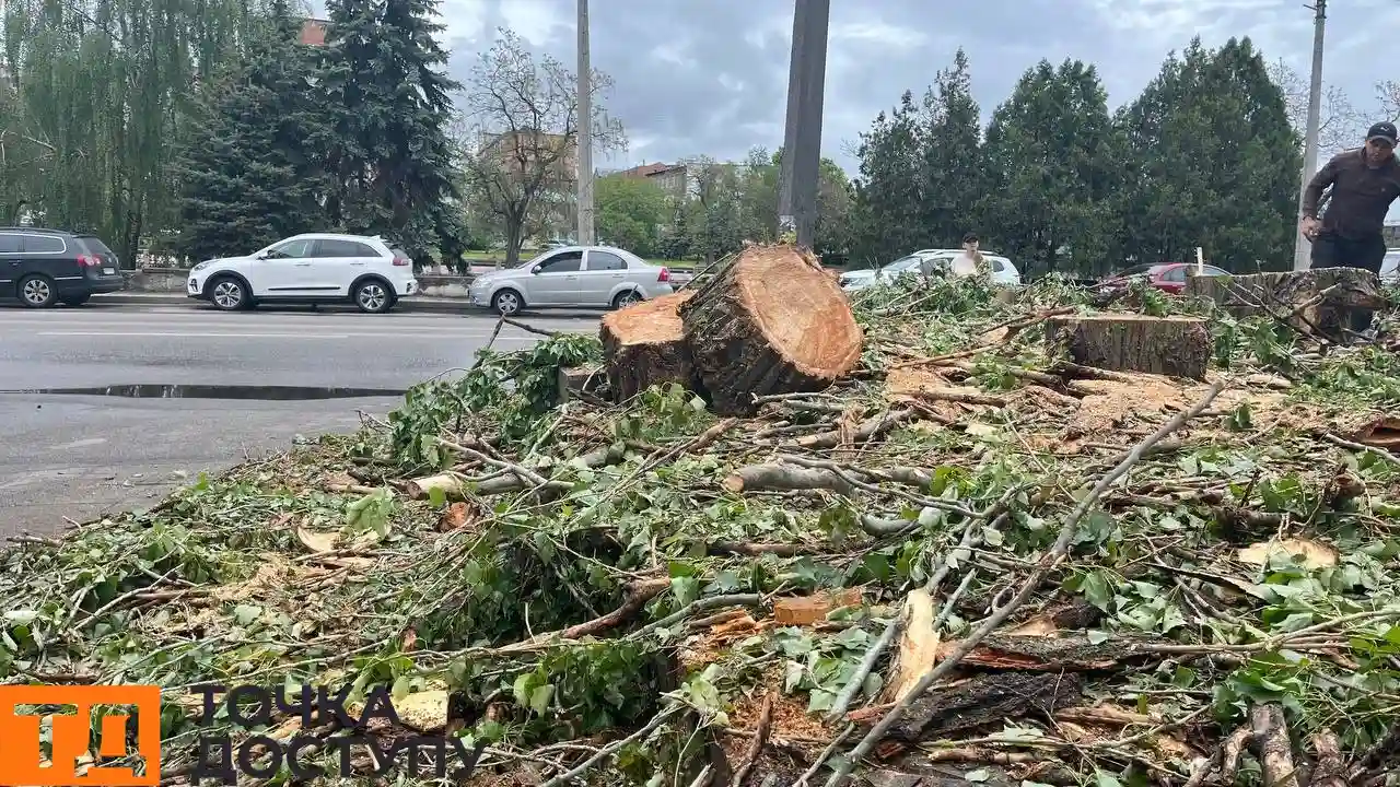 Спиляли дерева