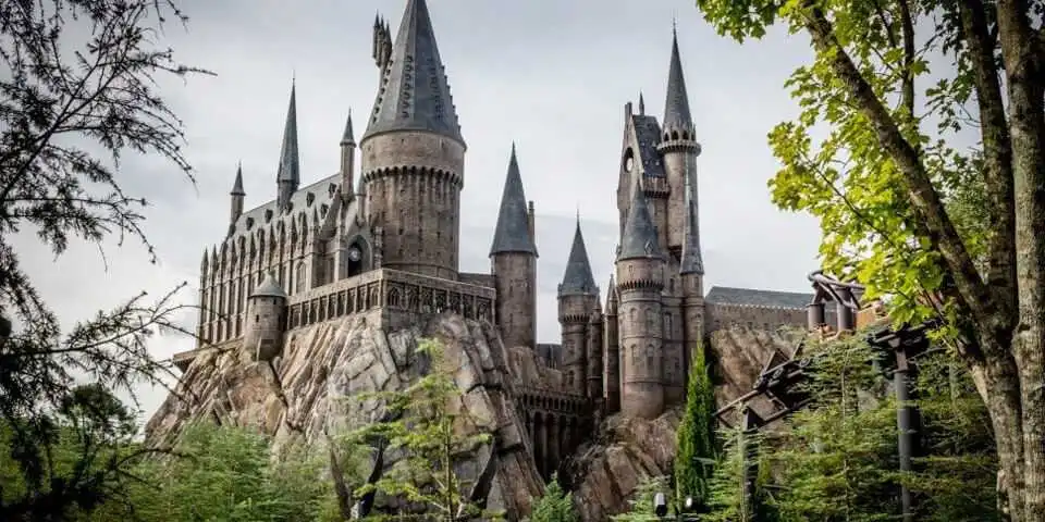 У Кропивницькому вручили дипломи випускникам "Гоґвортської школи магії" (ФОТО)