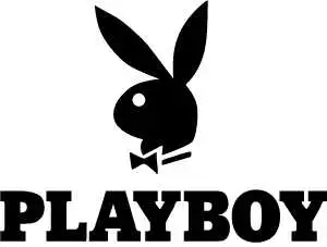 В Україні офіційно дозволено Playboy TV і ще пара каналів для дорослих фото 1
