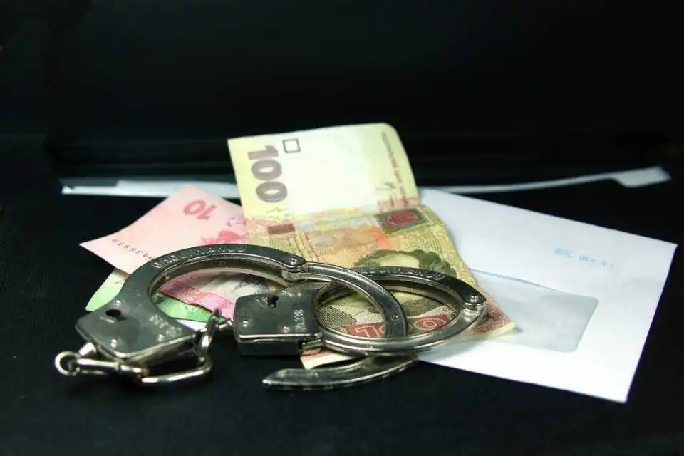 На хабарі у Кропивницькому затримали начальницю відділу Кіровоградської ОДА (ФОТО) фото 1