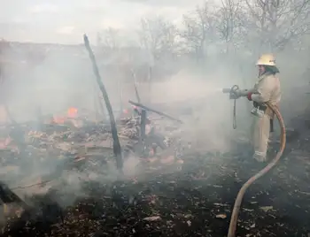 На Кіpовогpадщині жінка під час спалювання сміття влаштувала пожежу й тpавмувалася (ФОТО) фото 1