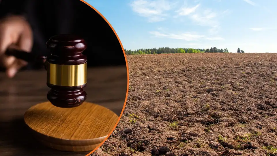 В орендаря з Кіровоградщини, який не збудував сонячну електростанцію, відсудили 24 гектари землі