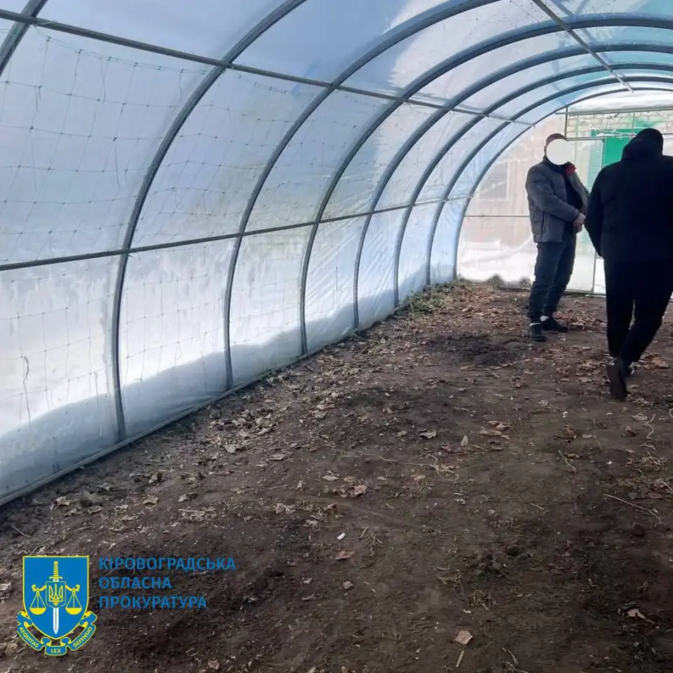 теплиця, у якій вирощують коноплю