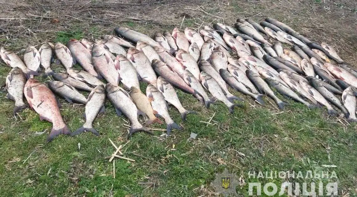 На Кiровоградщинi викрили браконьєра, який наловив понад 200 кiлограмiв риби (ФОТО) фото 1
