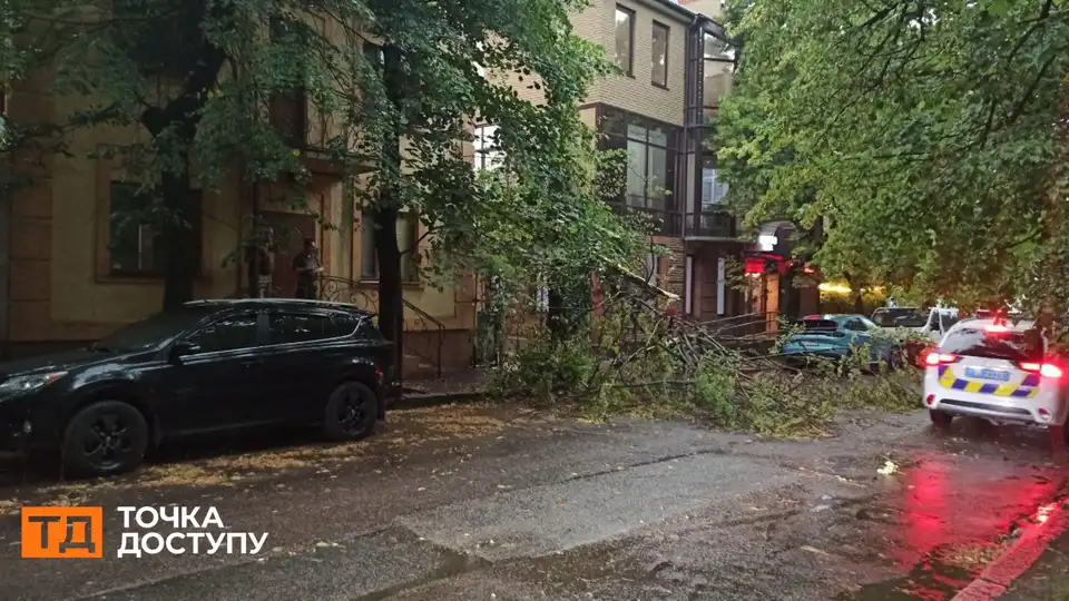 Обірвані дроти й повалені дерева: наслідки негоди у Кропивницькому (ФОТО)