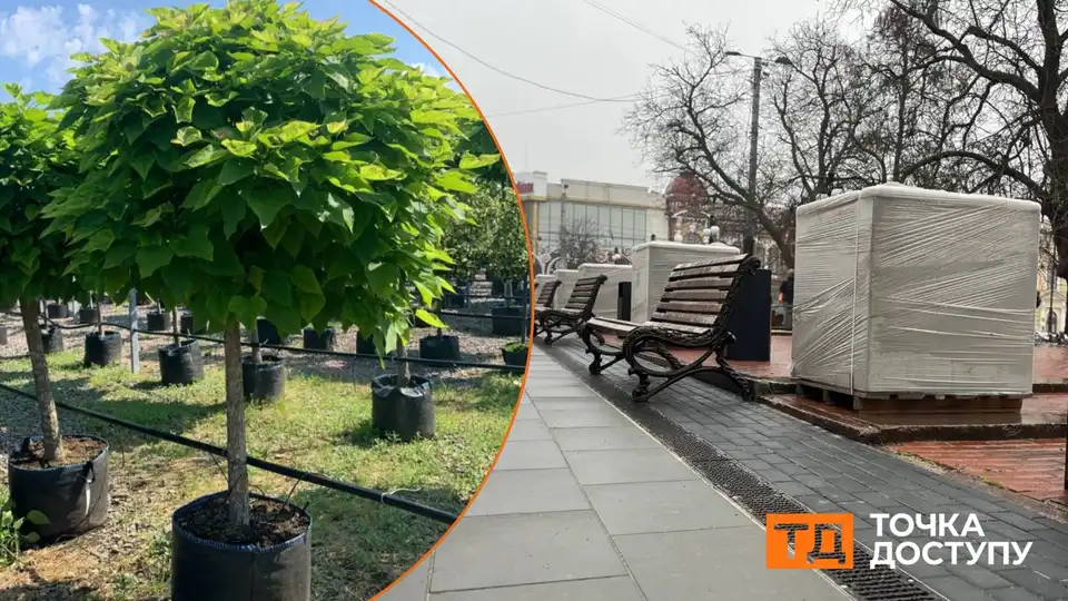 Катальпи висадять на Театральній у Кропивницькому: для дерев встановили вуличні вазони