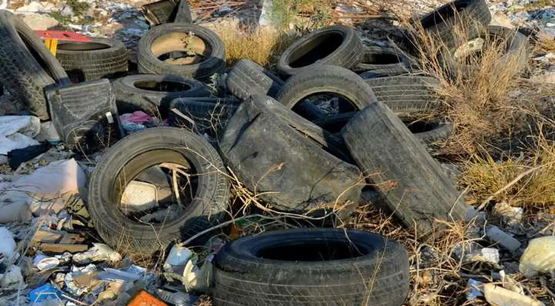 У Кpопивницькому неподалік цвинтаря створили несанкціоноване сміттєзвалище (ВІДЕО) фото 1