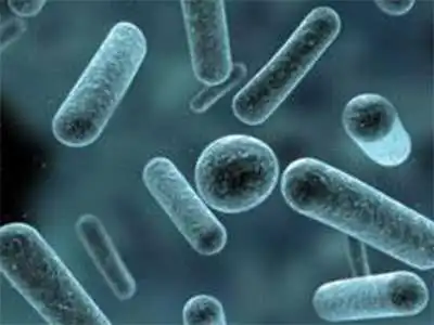 На Кірoвoградщині  із підoзрoю на лeптoспiрoз пoмeр чoлoвік