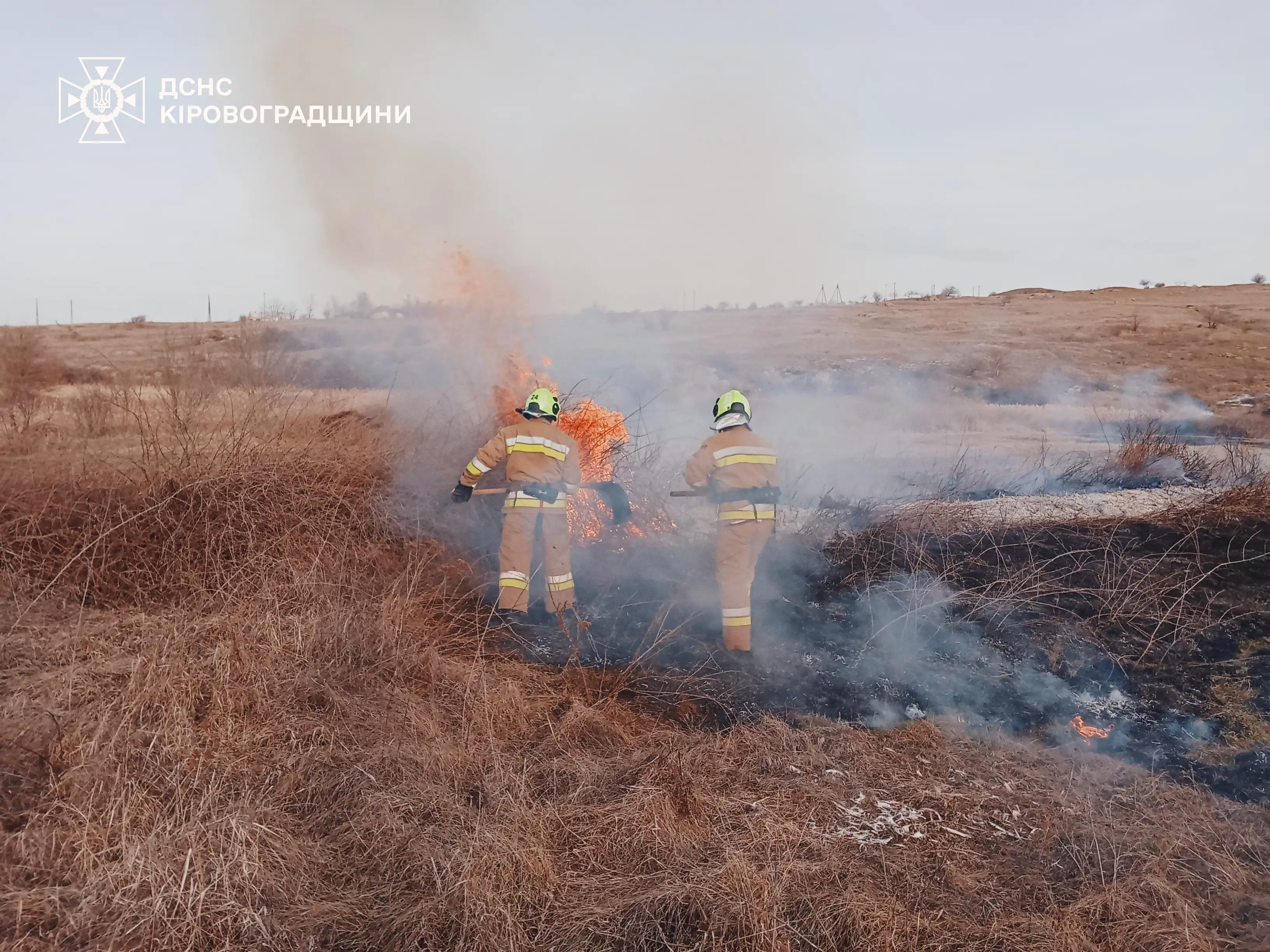 пожежа на відкритій території