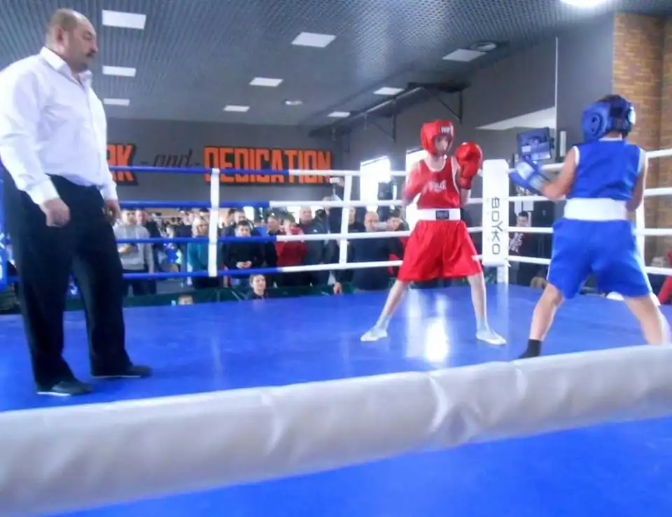 Юні боксери з Кропивницького вибороли 8 золотих медалей (ФОТО) фото 4