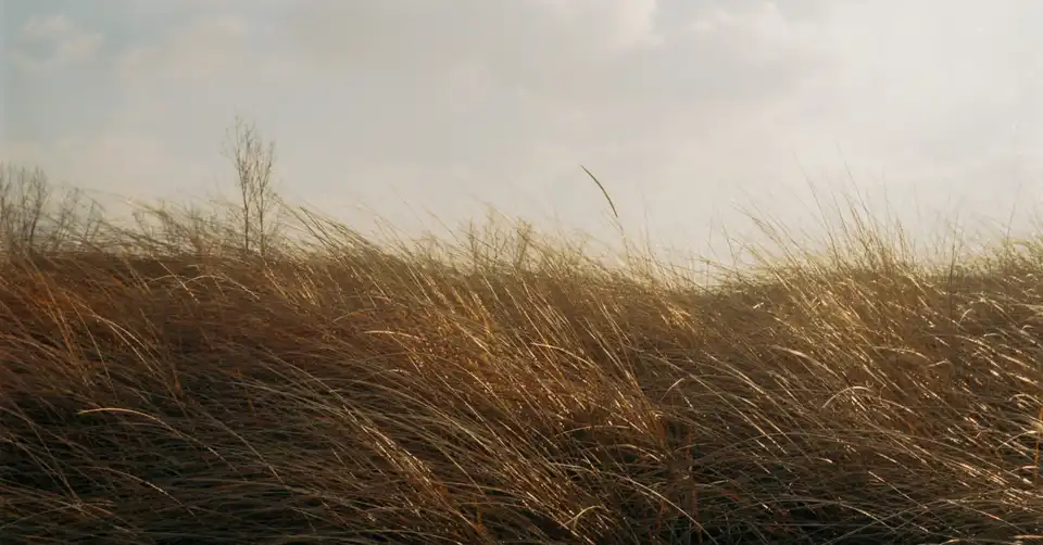 штормове попередження