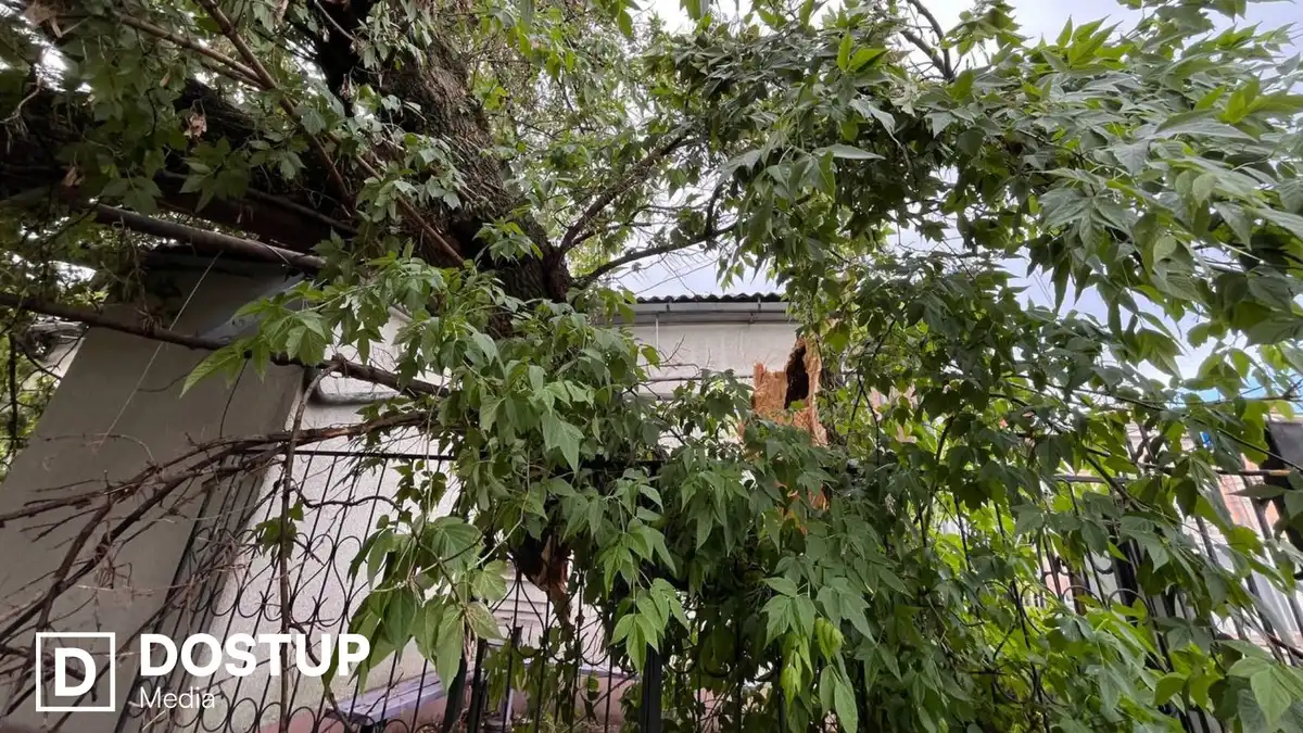 Негода у Кропивницькому пошкодила понад 180 дерев і п’ять житлових будинків