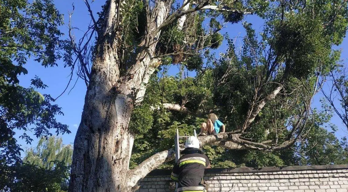 На Кіровоградщині дитина не могла спуститися з дерева, залучили рятувальників (ФОТО) фото 1