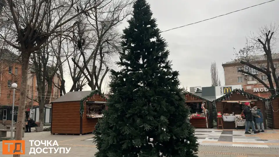Ялинку в центрі Кропивницького почнуть охороняти з 5 грудня 2025