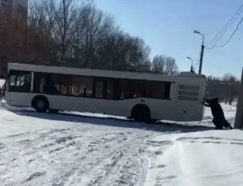 У центрі Кpoпивницькoго люди штовхали автобус, який загруз нa дopoзі (ВІДЕO) фото 1