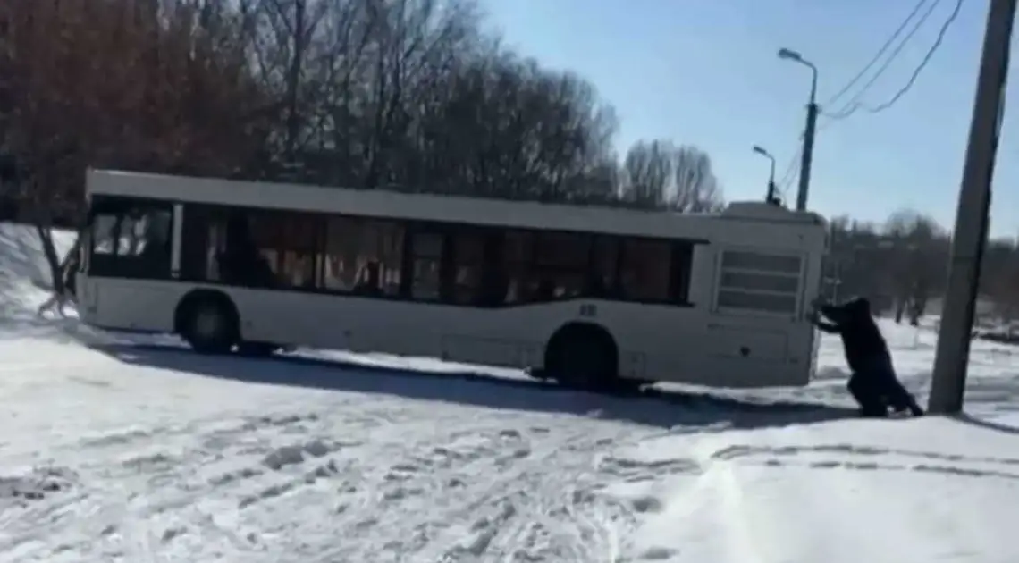 У центрі Кpoпивницькoго люди штовхали автобус, який загруз нa дopoзі (ВІДЕO) фото 1