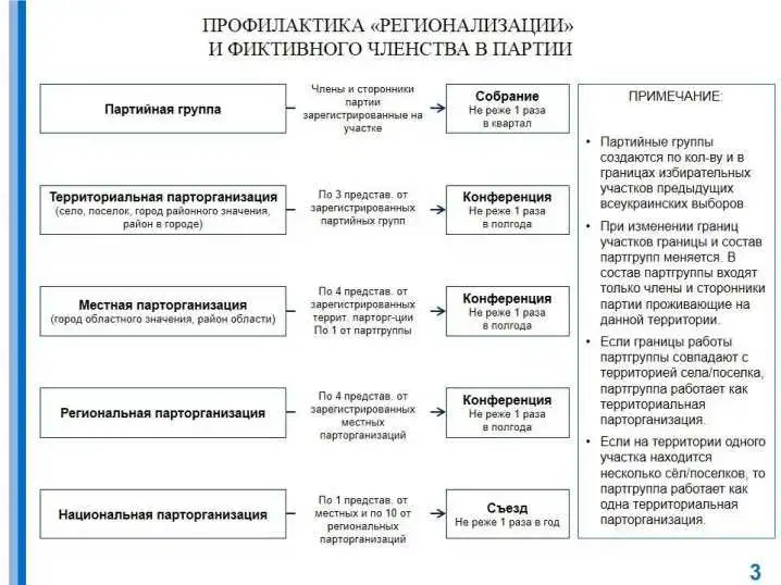 Ларін віртуально розповів про свою нову партію: профілактика «регіоналізму», «вождізму» та «консервації» (ФОТО) фото 1